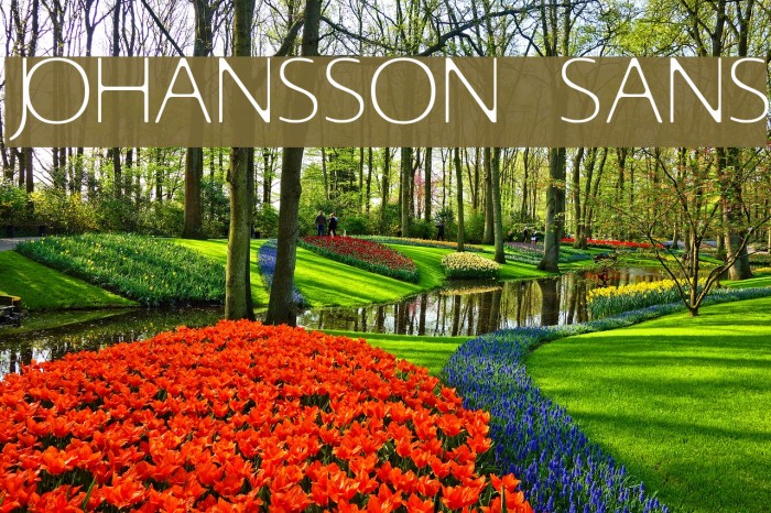 Johansson Sans Fuentes examples