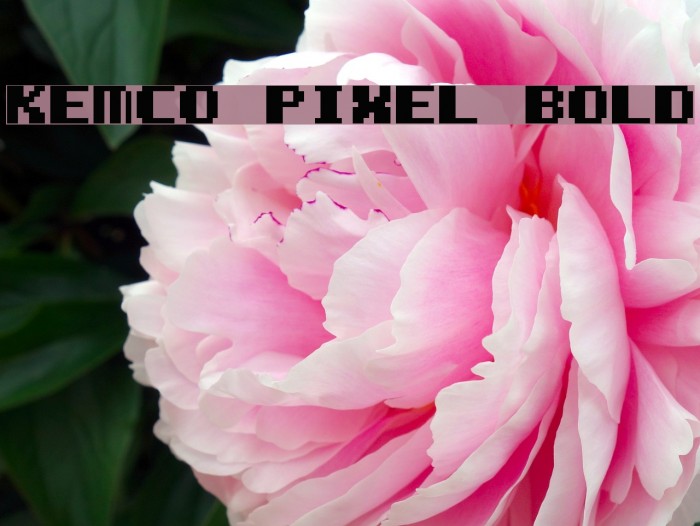 Kemco Pixel Bold لخطوط تنزيل examples