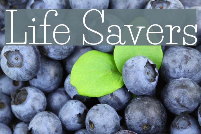 Life Savers 字体 examples