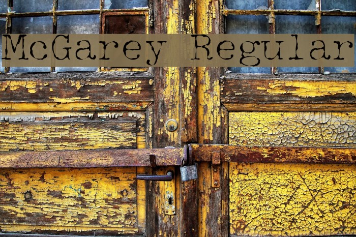 McGarey Regular Fonte examples