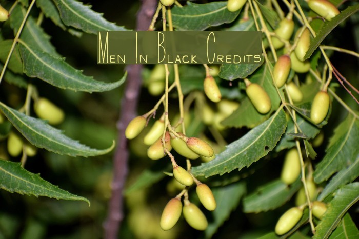 Men In Black Credits Fuentes examples