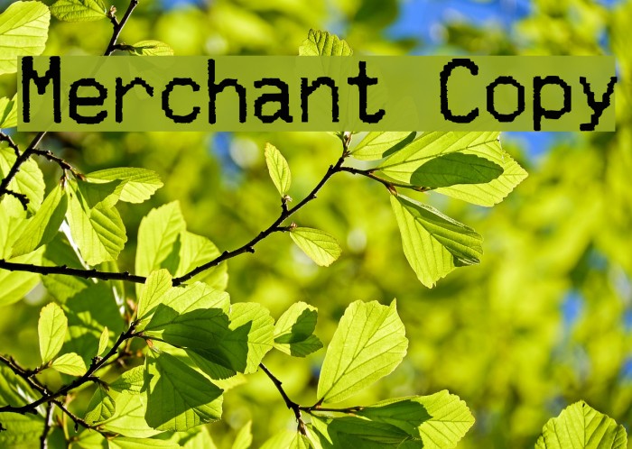 Merchant Copy Шрифта examples