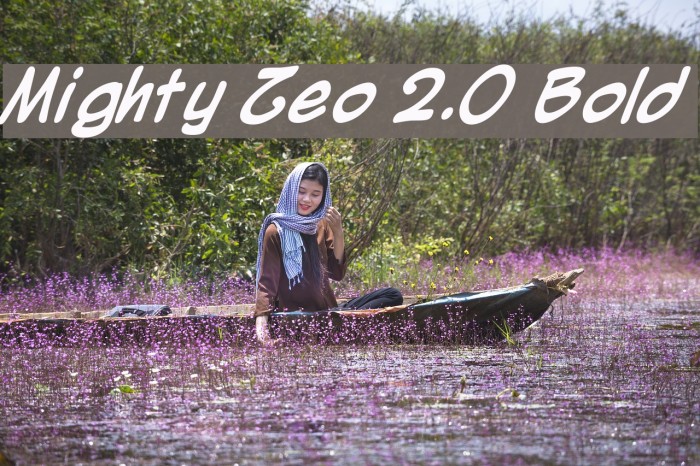 Mighty Zeo 2.0 Bold لخطوط تنزيل examples
