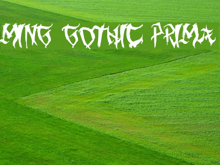 Ming Gothic Prima फ़ॉन्ट examples