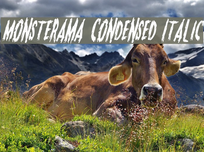 Monsterama Condensed Italic 字体 examples