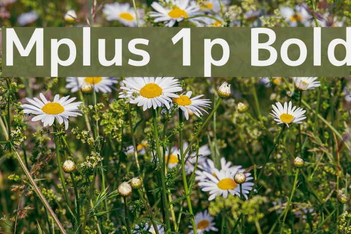 Mplus 1p Bold Fuentes examples