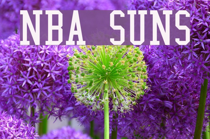 NBA Suns 字体 examples