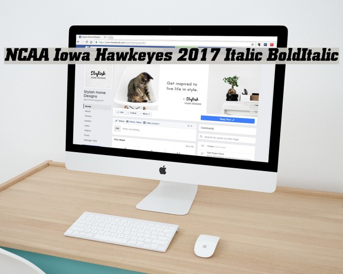 NCAA Iowa Hawkeyes 2017 Italic BoldItalic Polices examples