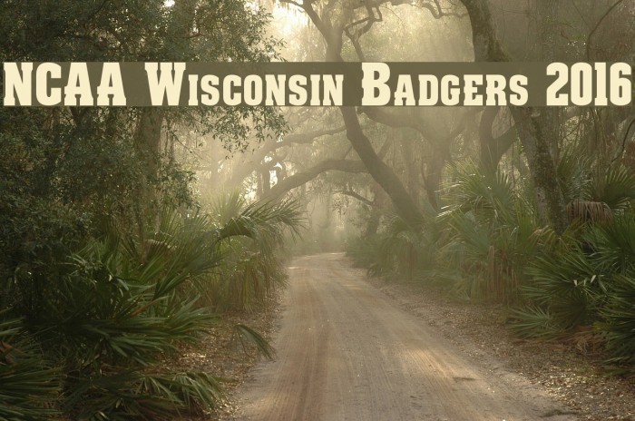 NCAA Wisconsin Badgers 2016 字体 examples