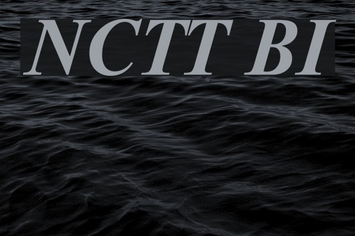 NewtonCTT BoldItalic Schriftart examples