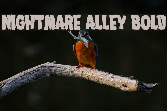 Nightmare Alley Bold फ़ॉन्ट examples