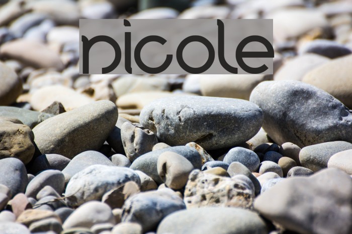 nicole Шрифта examples