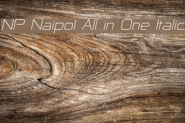 NP Naipol All in One Italic Fonte examples