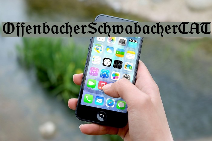 OffenbacherSchwabacherCAT Fuentes examples