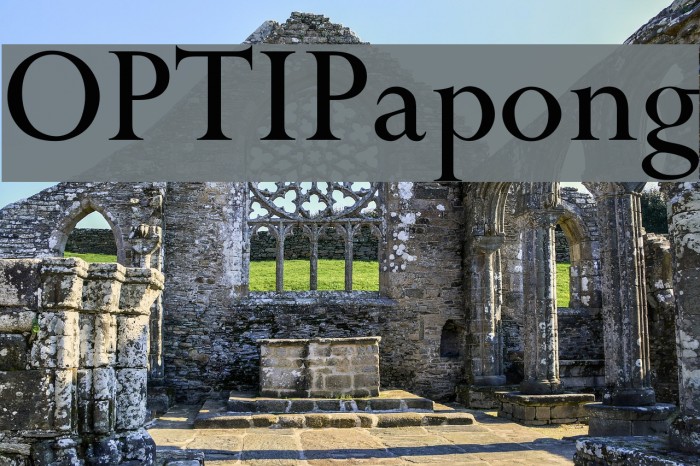 OPTIPapong Fonte examples