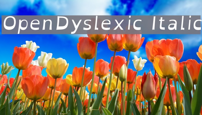 OpenDyslexic Italic फ़ॉन्ट examples