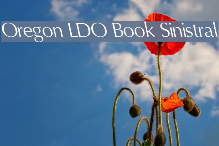 Oregon LDO Book Sinistral フォント examples