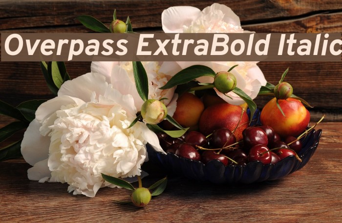 Overpass ExtraBold Italic Schriftart examples