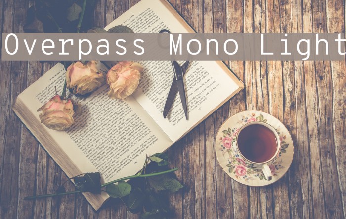 Overpass Mono Light 字体 examples