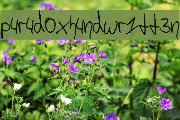 p4r4d0x_h4ndwr1tt3n Font examples