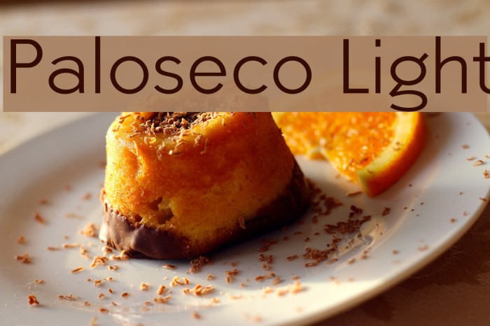 Paloseco Light 字体 examples