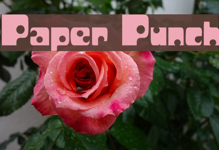 Paper Punch لخطوط تنزيل examples