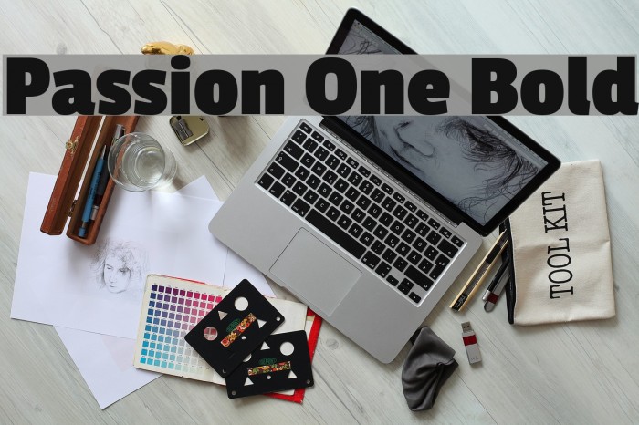 Passion One Bold Fuentes examples