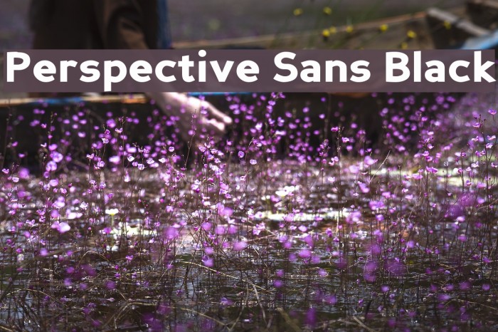 Perspective Sans Black Schriftart examples