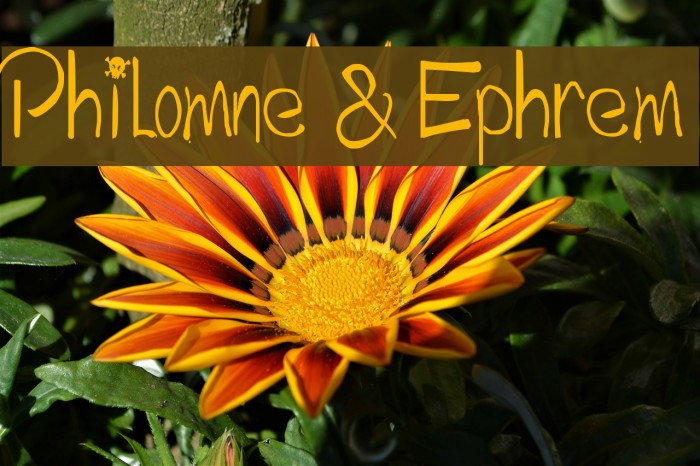 Philomne & Ephrem Font examples