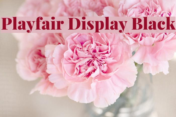 Playfair Display Black Caratteri examples
