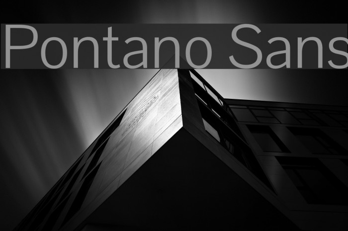 Pontano Sans Caratteri examples
