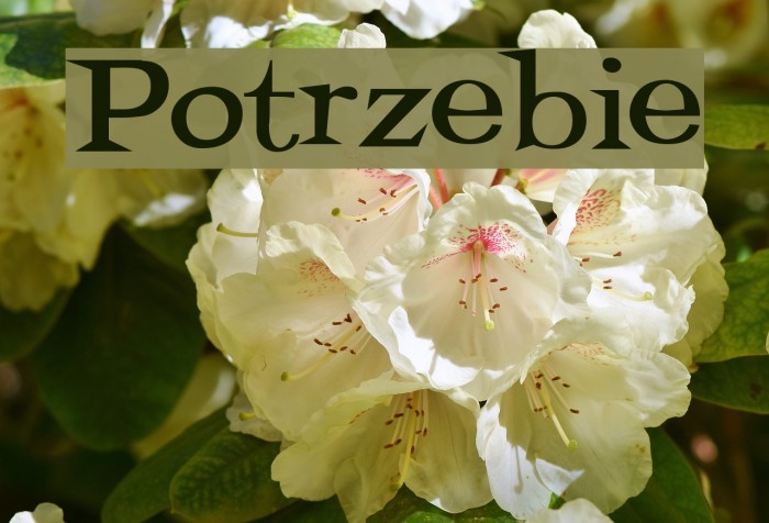 Potrzebie Fuentes examples