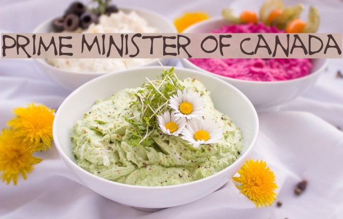 Prime Minister of Canada Fuentes examples