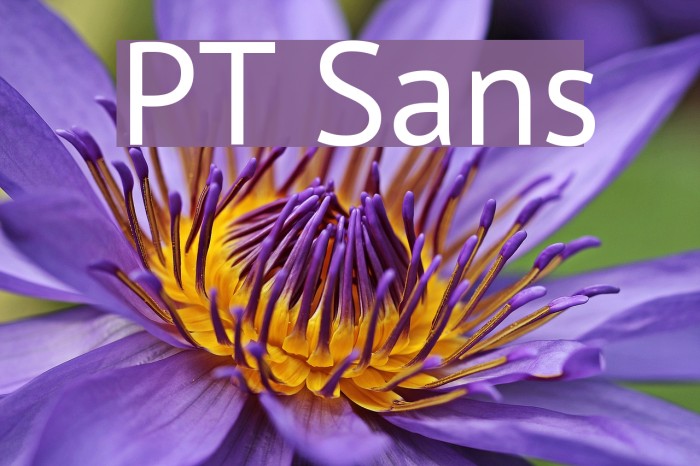 PT Sans Caratteri examples