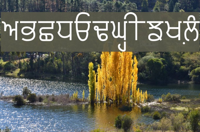 Punjabi Typewriter 字体 examples
