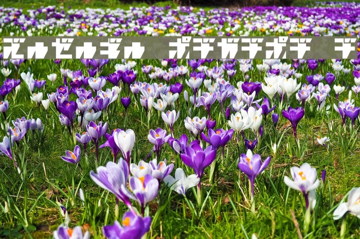 R.P.G. KATAKANA Schriftart examples