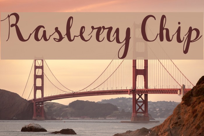Rasberry Chip لخطوط تنزيل examples