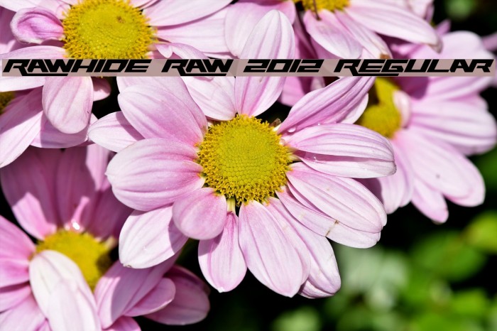 Rawhide Raw 2012 Regular Font examples