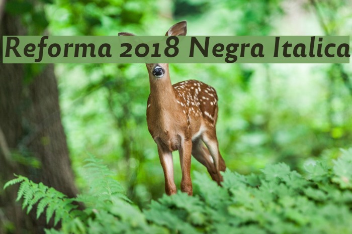 Reforma 2018 Negra Italica フォント examples