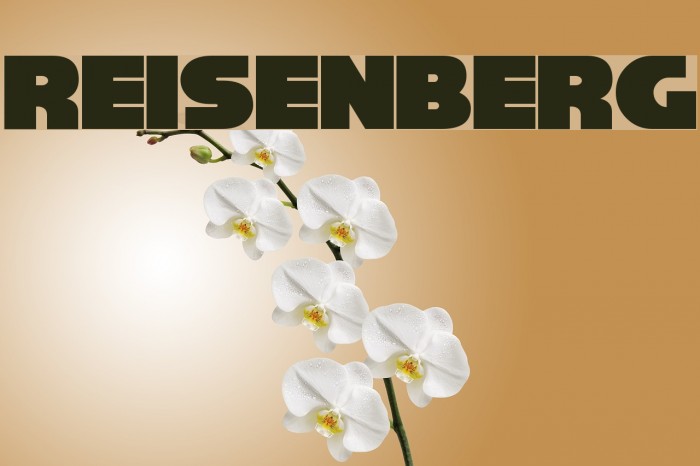 Reisenberg Polices examples