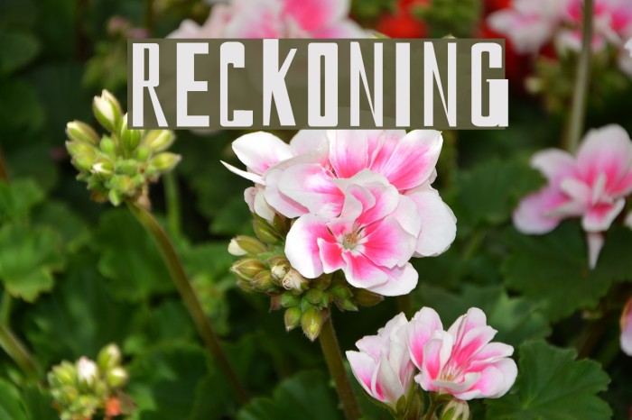 reckoning Schriftart examples