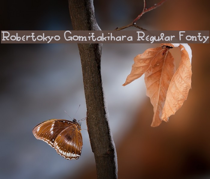 Robertokyo Gomitakihara Regular Fonty Fonte examples