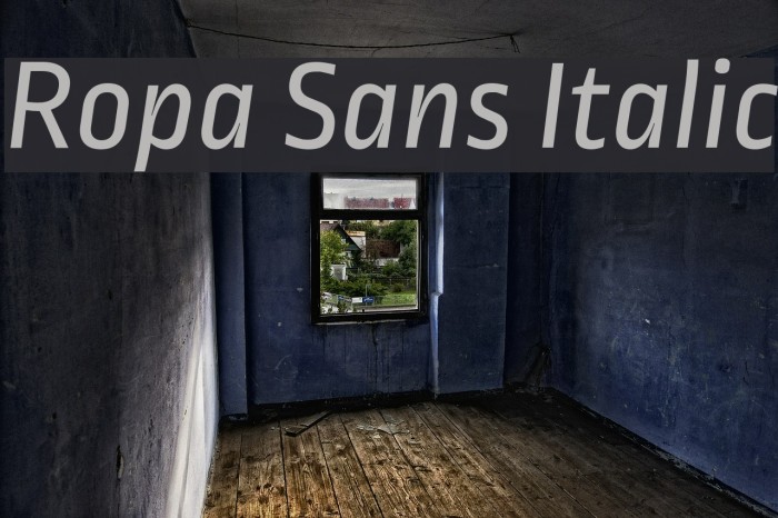 Ropa Sans Italic Fuentes examples
