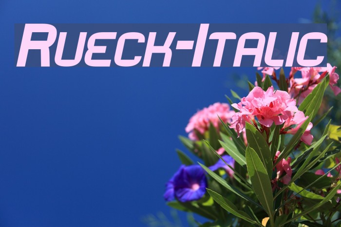 Rueck-Italic Fuentes examples