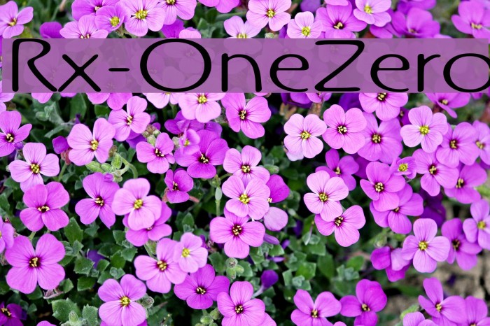 Rx-OneZero Schriftart examples