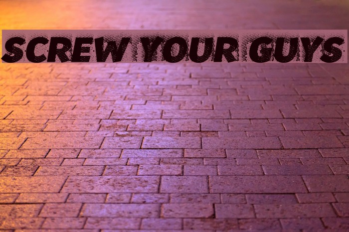 Screw your guys! Schriftart examples