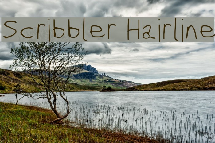 Scribbler Hairline フォント examples
