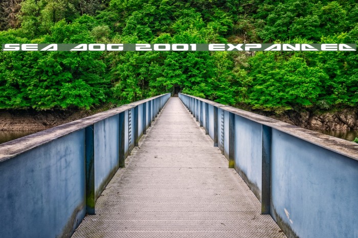 Sea Dog 2001 Expanded Шрифта examples