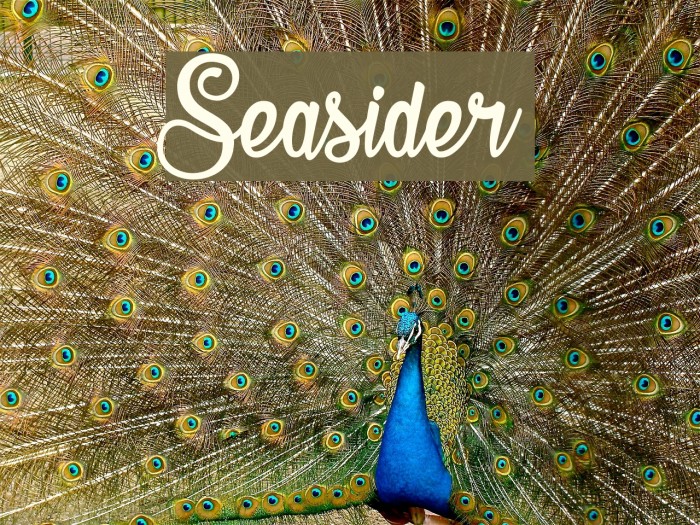 Seasider Fuentes examples