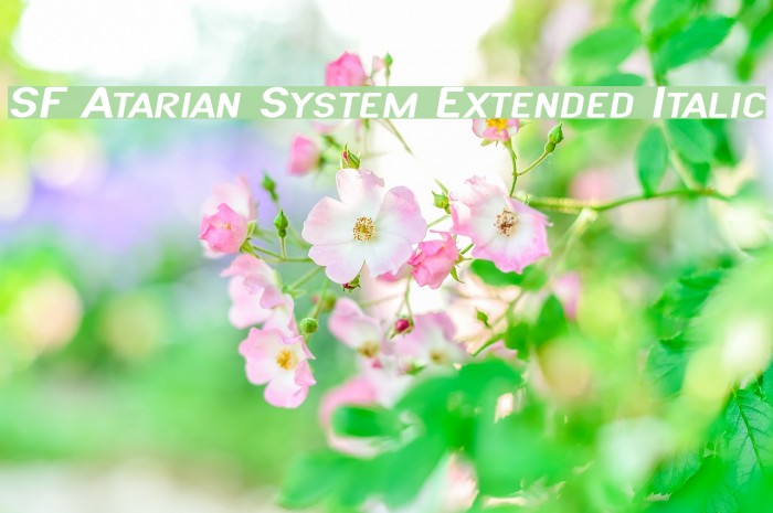 SF Atarian System Extended Italic फ़ॉन्ट examples